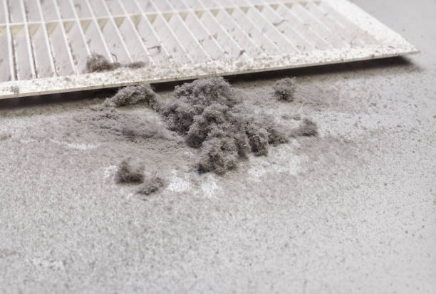 Best Ductwork Cleaning Services  in Mcminnville, TN