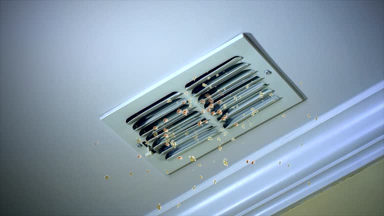 Best Affordable Duct Cleaning Services  in Mcminnville, TN