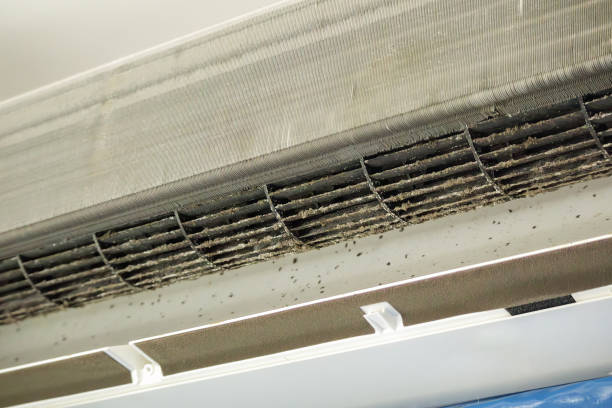 Best Duct Cleaning for Offices  in Mcminnville, TN